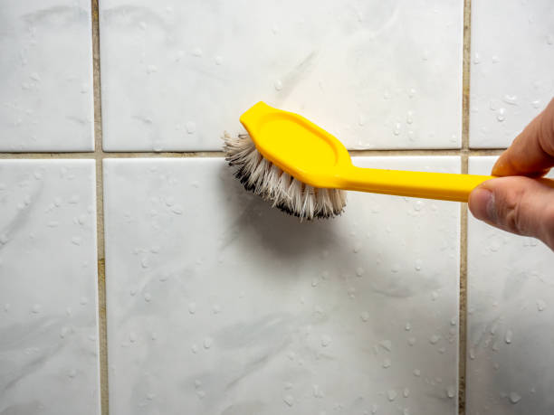 Best Local Mold Removal Service  in Potomac Mills, VA