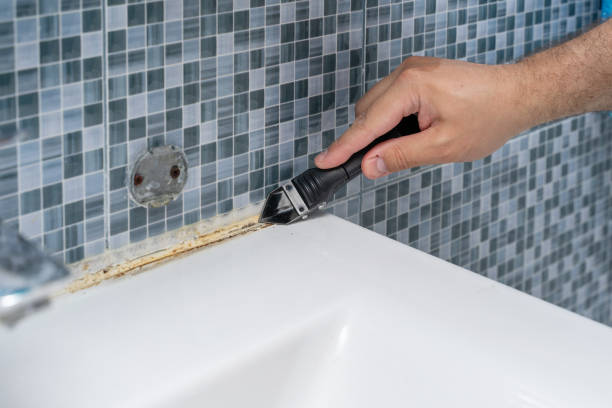 Best Mold Testing  in Potomac Mills, VA